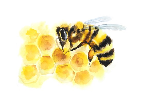 Bee on honeycomb, artwork, watercolor illustration