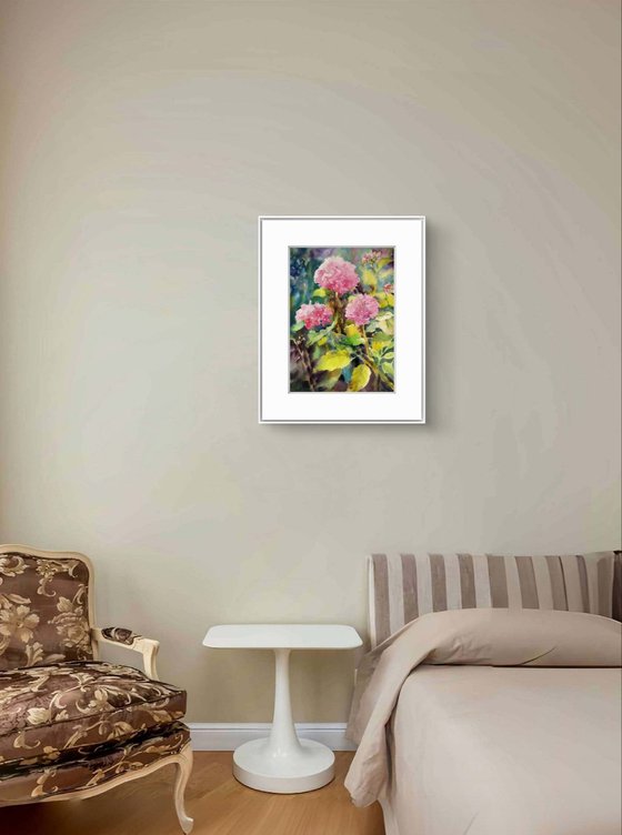 Pink Hydrangeas flowers