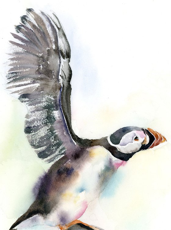 Puffin Diptych