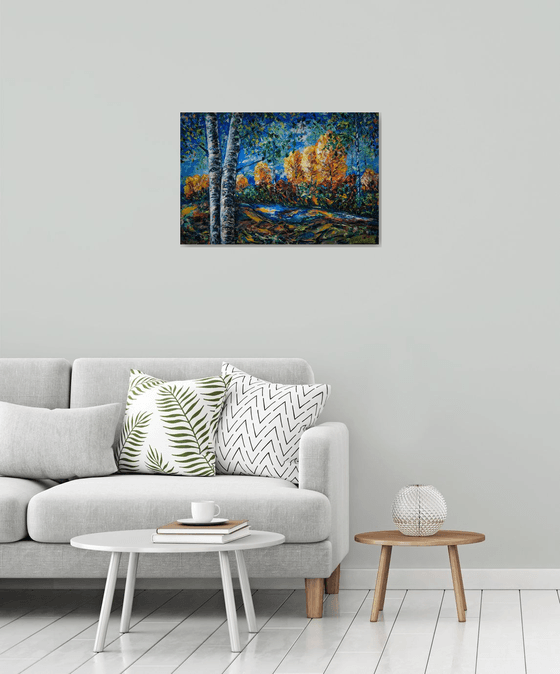 Colorado Light  Commission