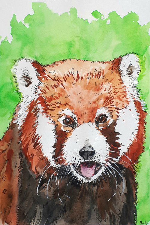 "Red Panda" by Marily Valkijainen
