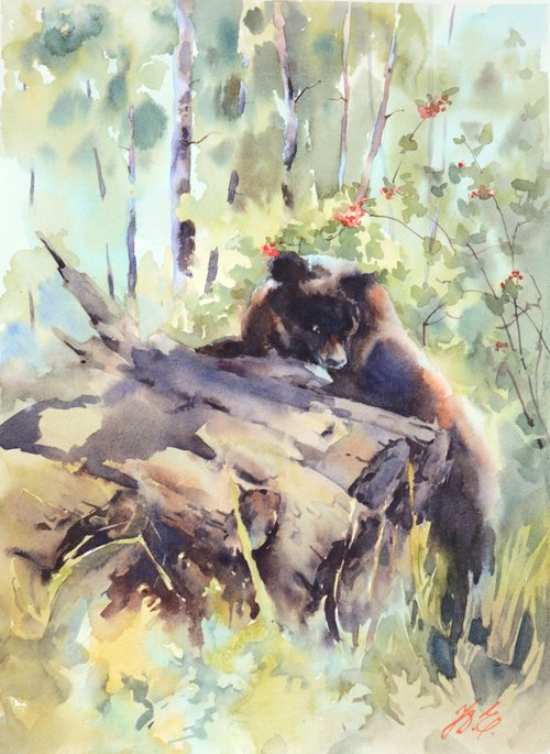 Bear in the forest / Watercolor wild animal by Yulia Evsyukova