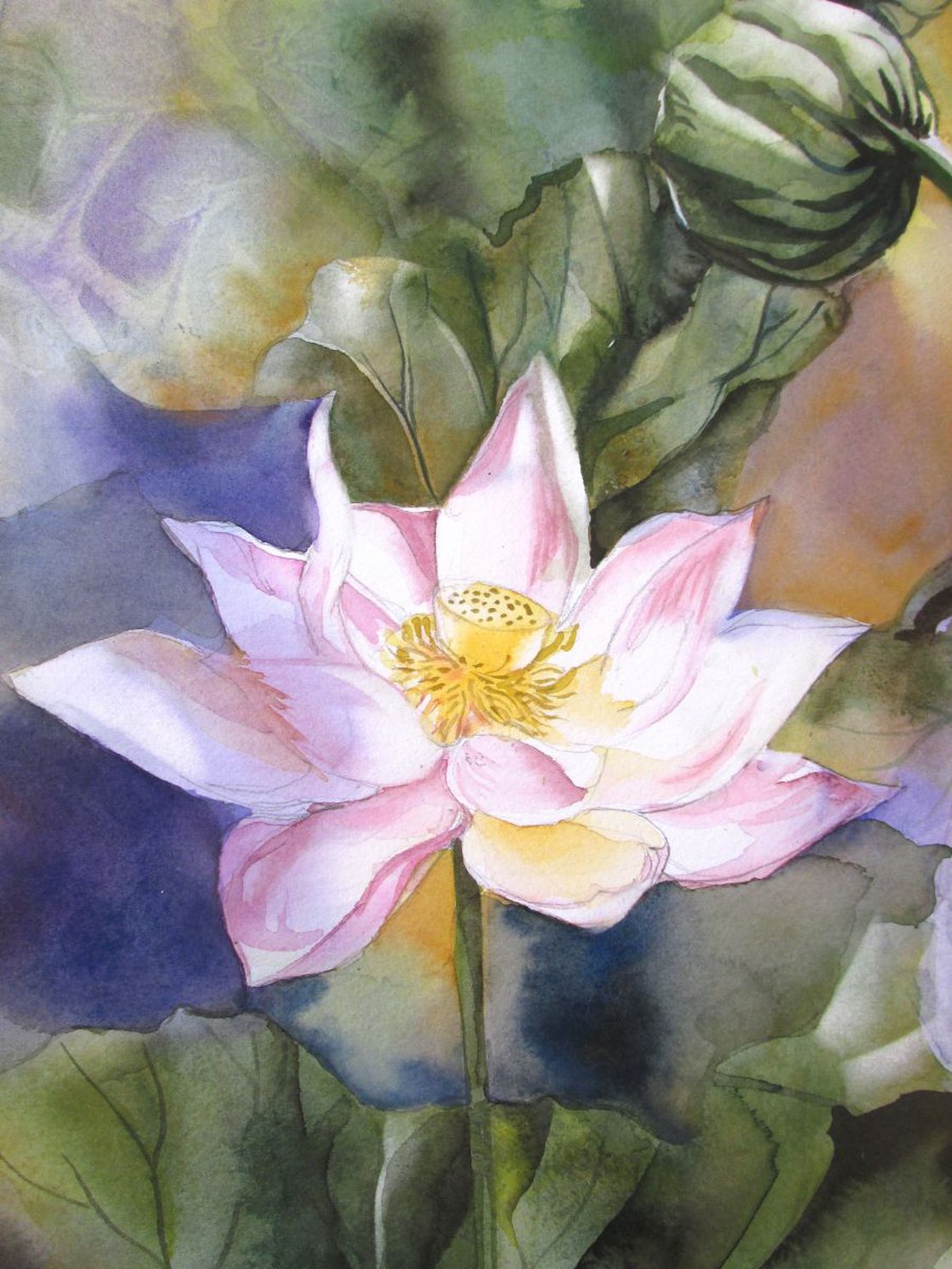 lotus watercolor Watercolour by Alfred Ng | Artfinder