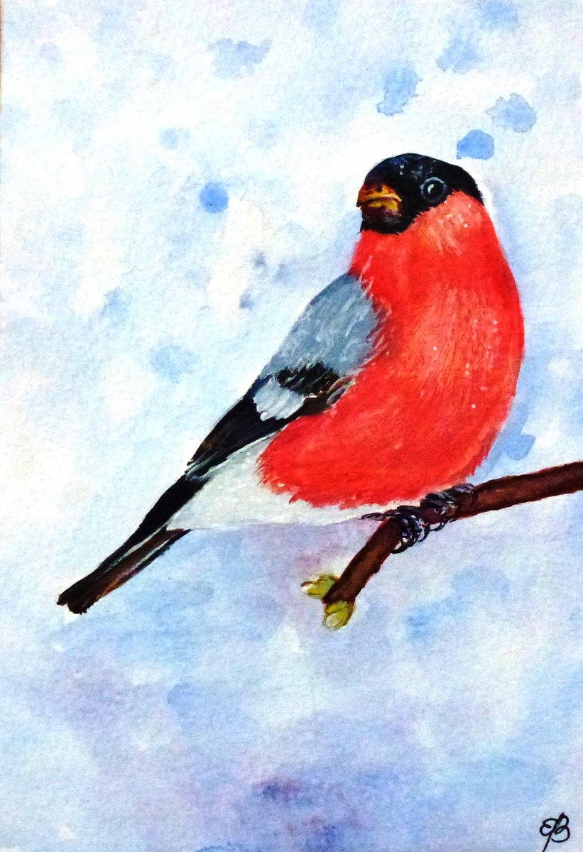 Happy winter - Bullfinch I by Lena Smirnova