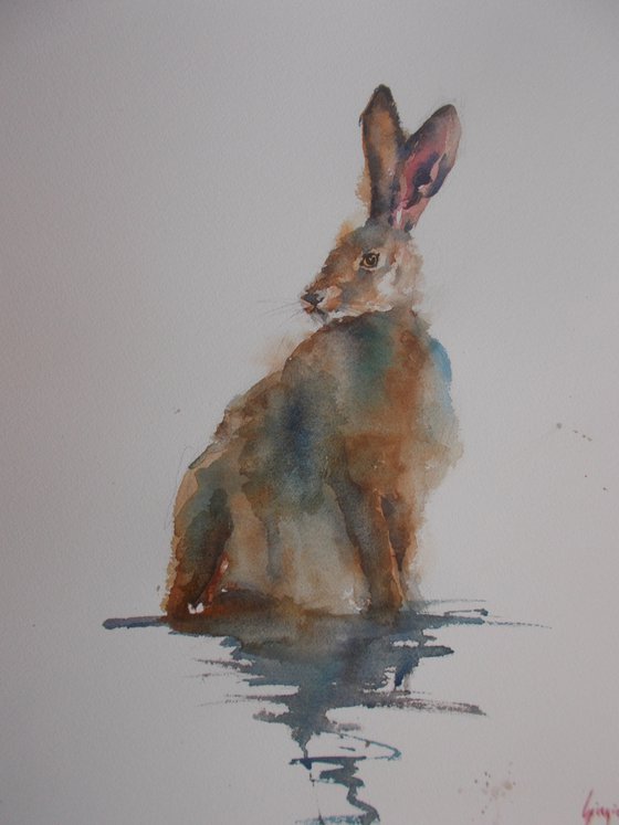 hare 2