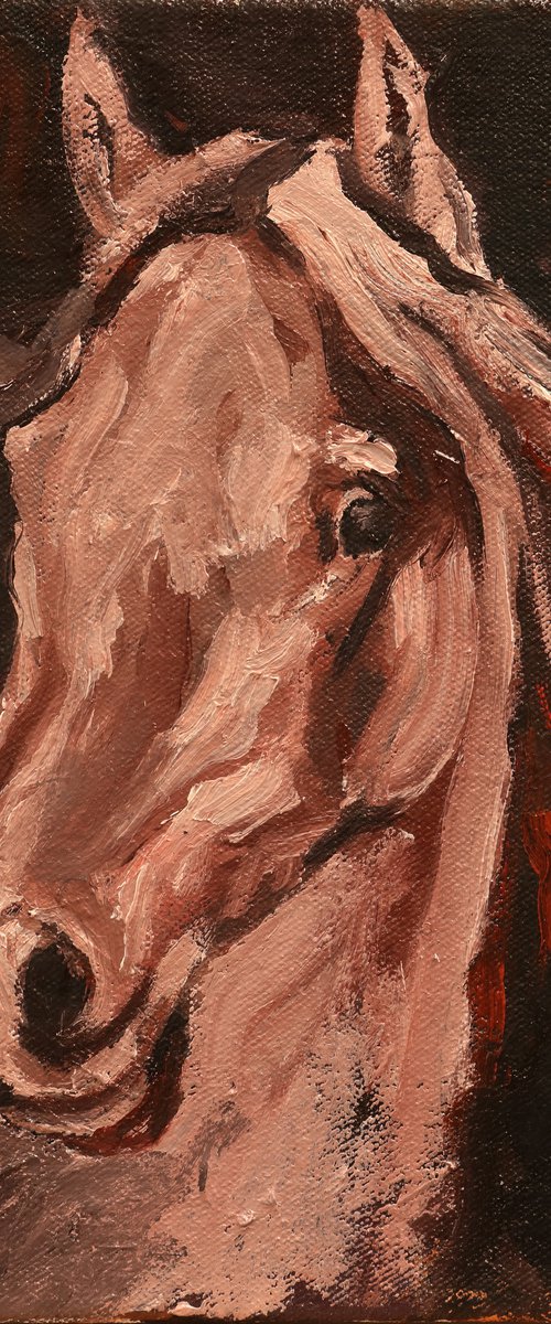 Equine Head Arab White (study 19) by Zil Hoque