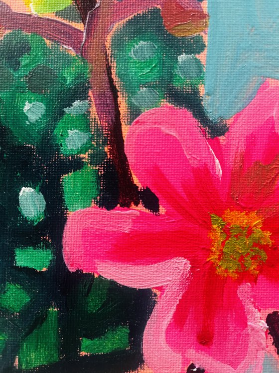 Resting  - Japanese Anenome