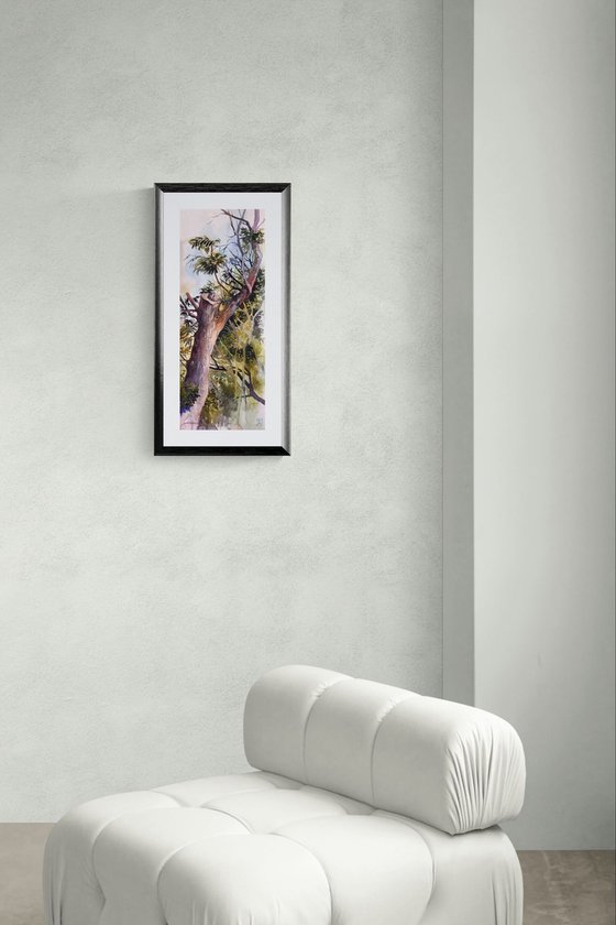 Light Between Branches