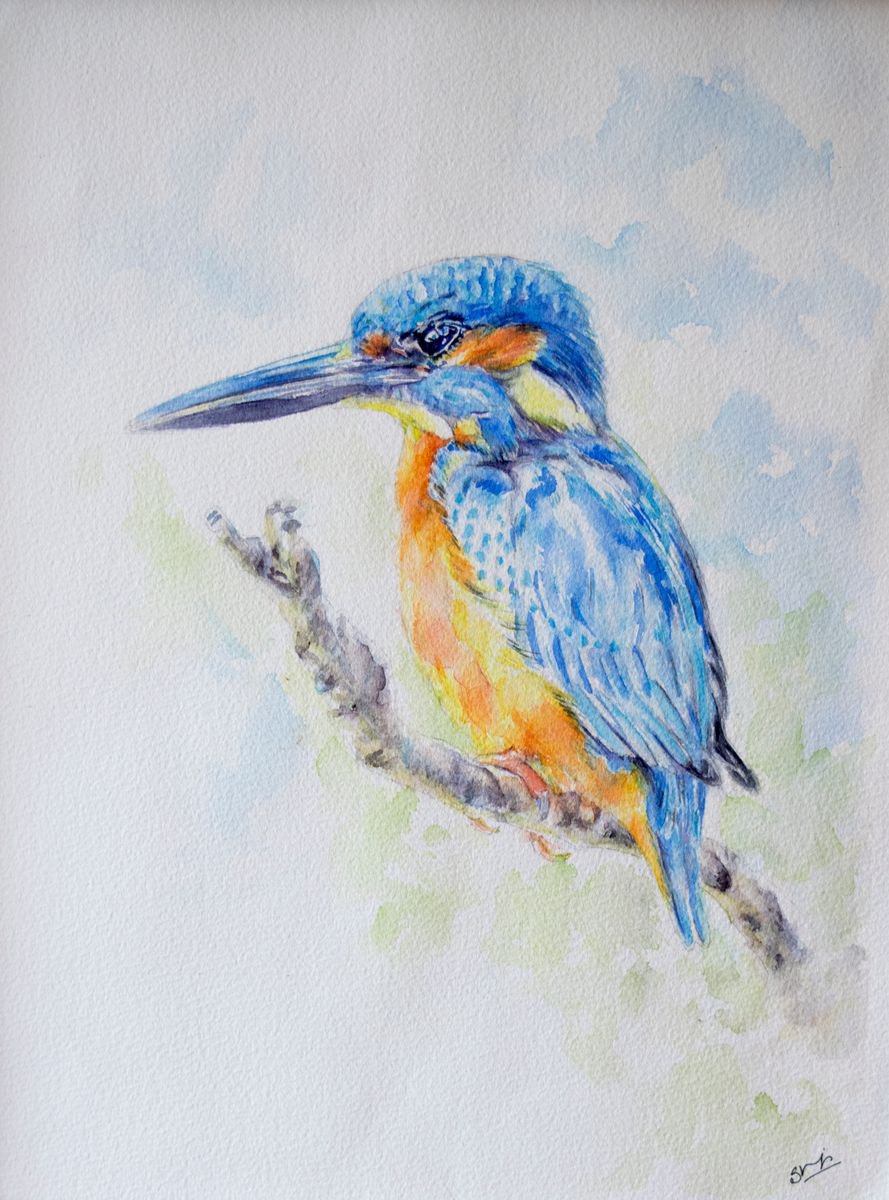 Kingfisher by Shilpi Sharma