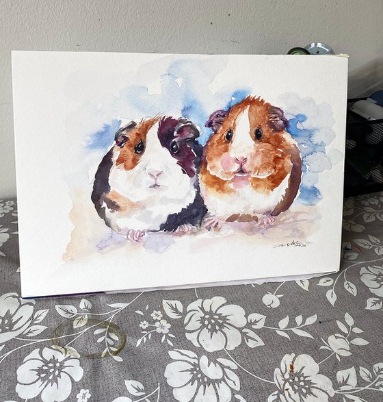 Guinea Pigs Jerry and Jo