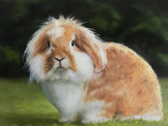 Original Oil Painting of a Bunny Bentley