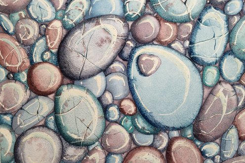 Cover image for Gifts for nature lovers collection
