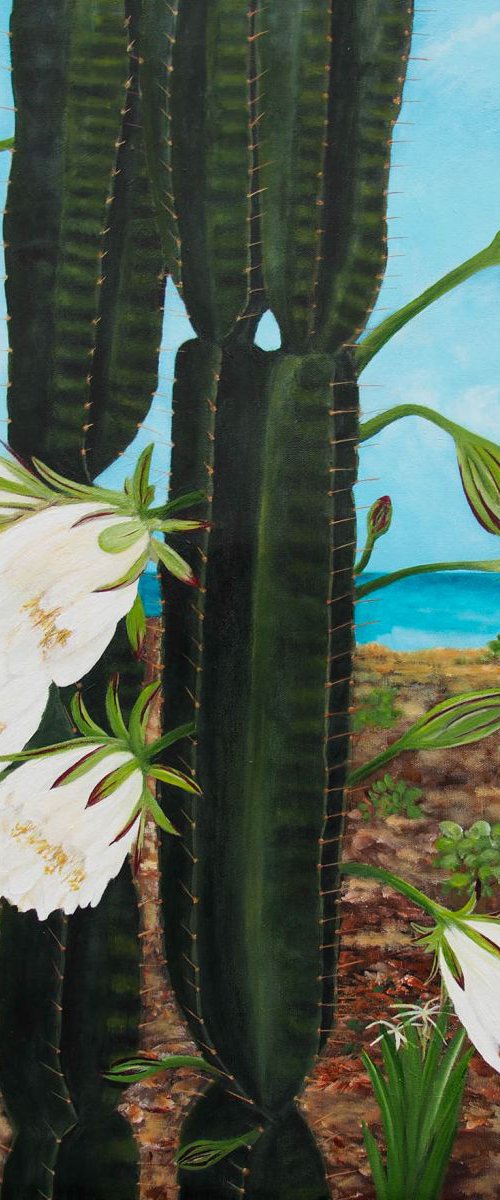 Caribbean Cactus by Steven Fleit