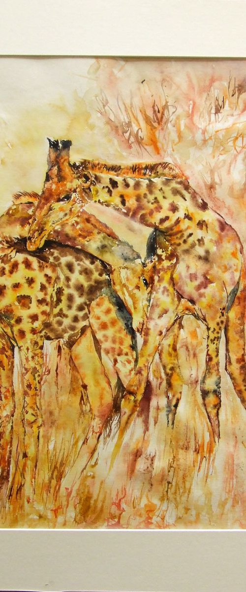 Giraffes by Anna Sidi-Yacoub
