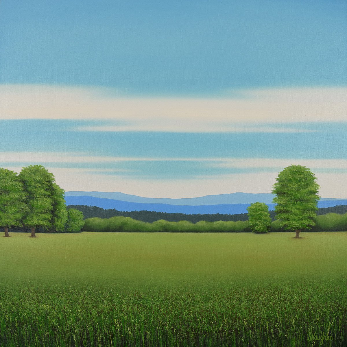 Summer Scene - Blue Sky By Suzanne Vaughan, 24 X 24, Artwork For Sale On Artfinder