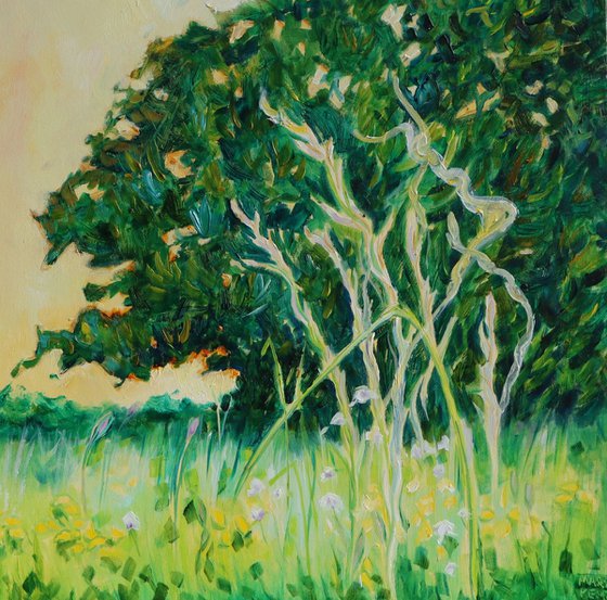 Trees That Protect