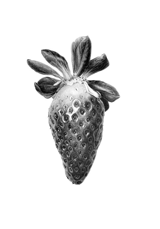 Strawberry Drawing