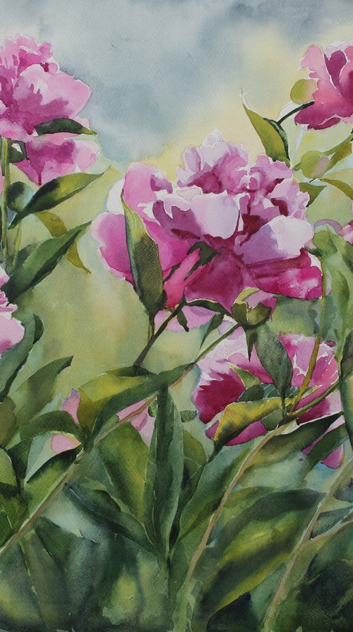 PINK PEONIES#5 by Yurii Pashkov