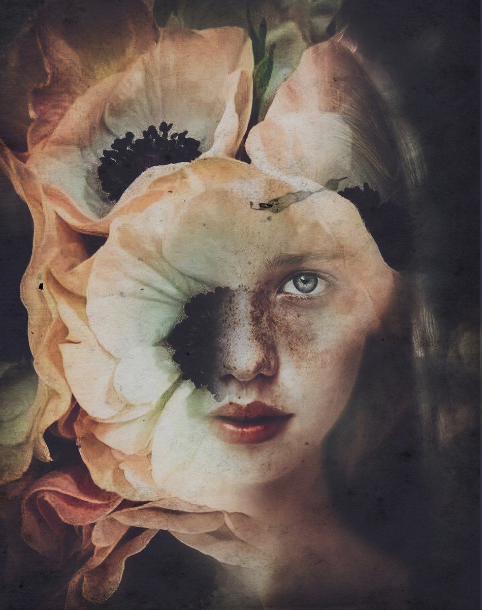 Botanical collection Vol 26. Tulip. Art portrait on canvas by Elmira Namazova
