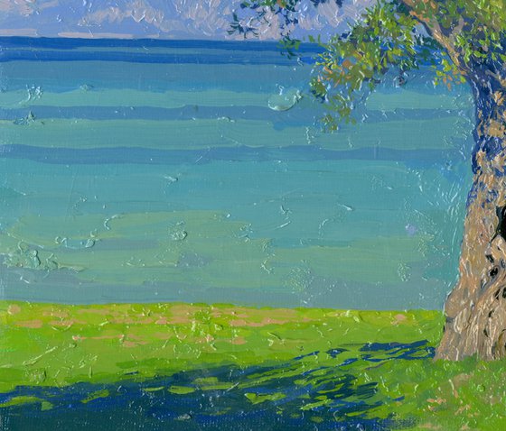 Olive tree on the Dassia
