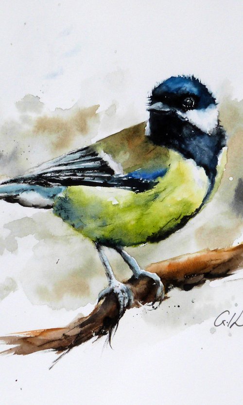 The Great Tit. by Graham Kemp