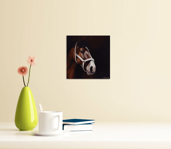 Horse Portrait 107