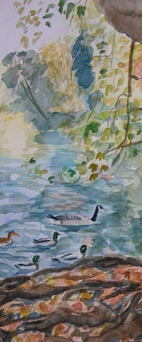 Autumn Lake 2 by Mary Stubberfield