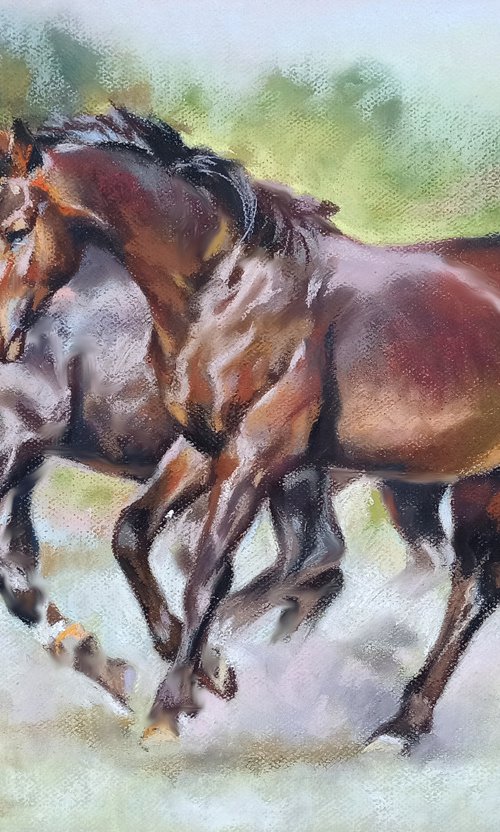 A couple at a gallop by Magdalena Palega