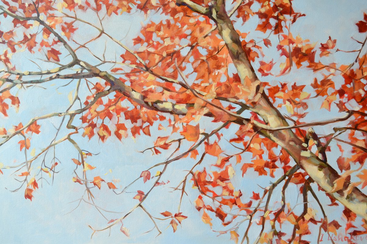 Autumn tree by Irina Ushakova