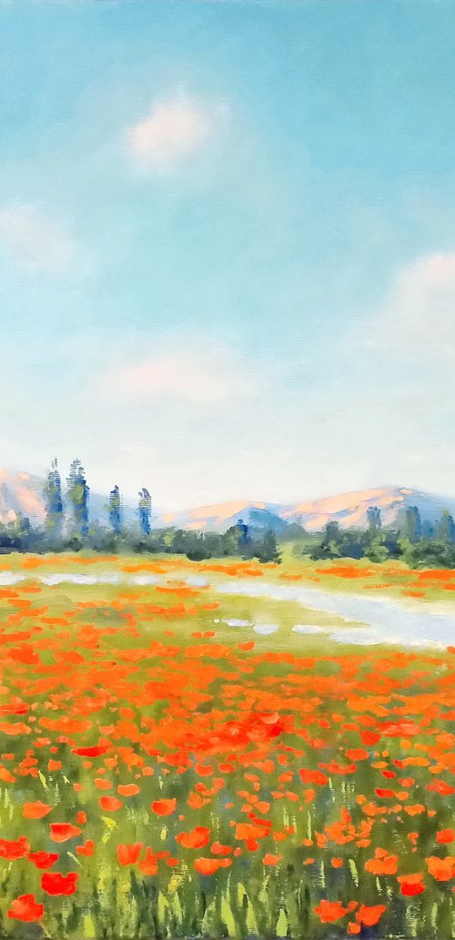 Poppy field in the valley by Oleh Rak