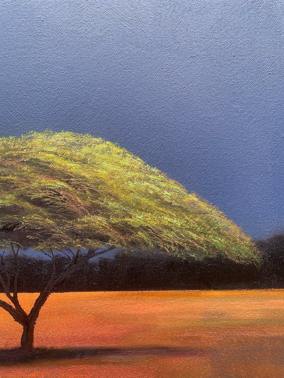 "Acacia Tree in a Surreal Landscape III" Large landscape Oil Painting