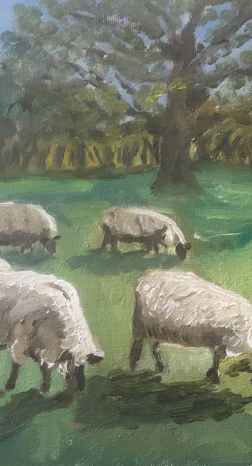 Sheep in an orchard painting by Julian Lovegrove Art