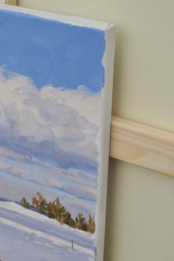 Pines on the snowy summit of Mount Mézenc