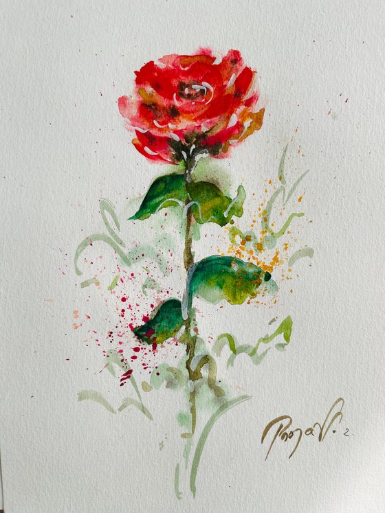 Blaze of Red Roses 2