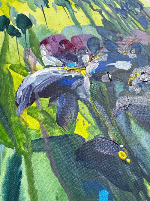 Irises flowers by Yevheniia Salamatina