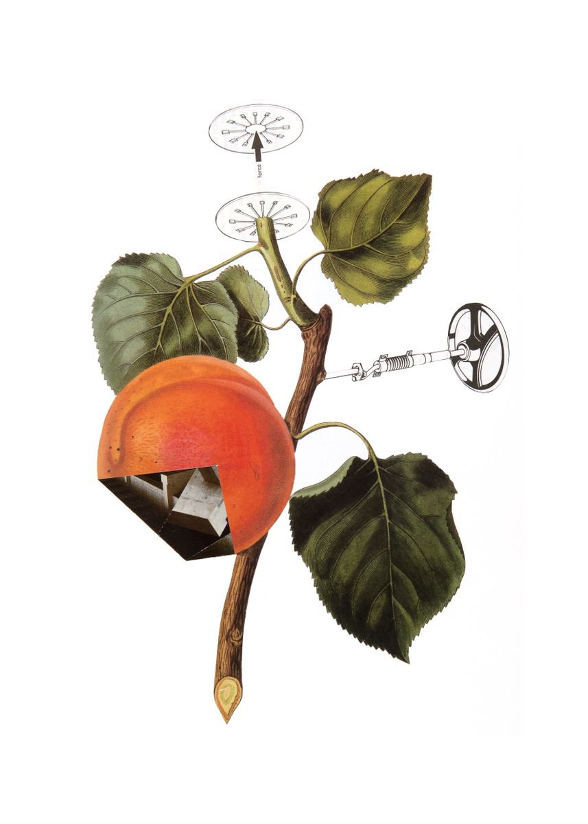 Abstract Collage By Benjamin West, 12 X 17, Processed 2, Original Artwork