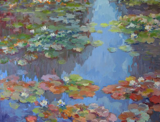 Summer Water Lilies