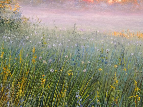 Fog Over the Meadow