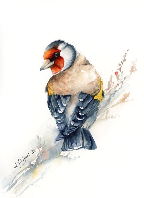 European Goldfinch, watercolor of birds and wildlife