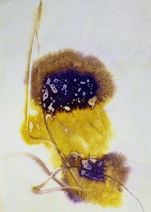 Yellow and violet flower, Ink on Paper, 29x41 cm by Frederic Belaubre