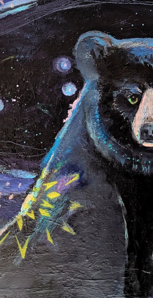 Bear knows his stars. by Kerri McCabe