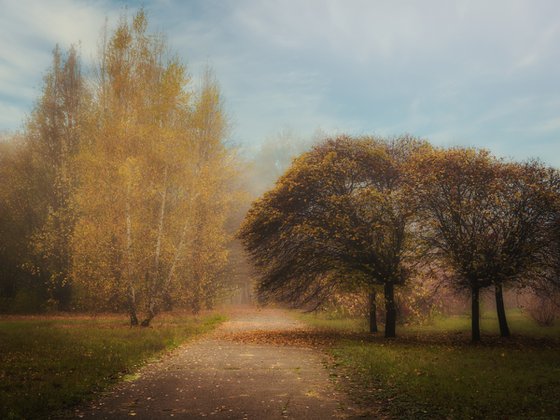 Autumn Calm IV — Golden Silence