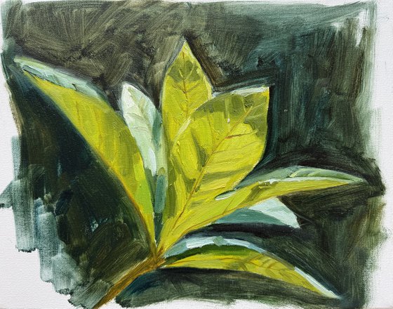 Green leaf