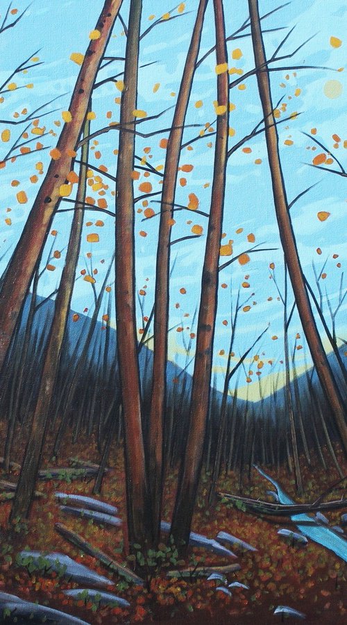 November Woods by Sage Mountain Studio