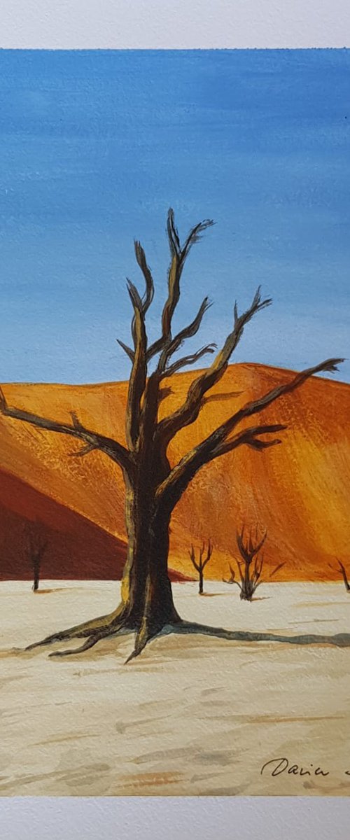 Desert Acacia by Daria Startseva