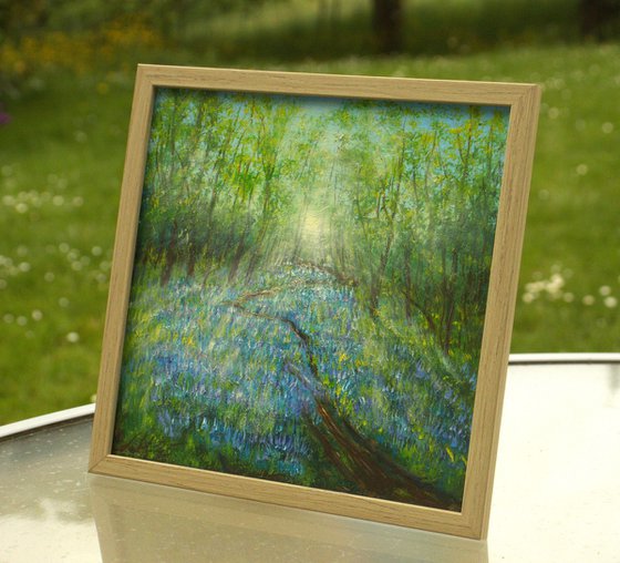 Bluebell woodland