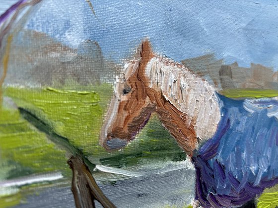 Grazing Horses in the Dutch Countryside
