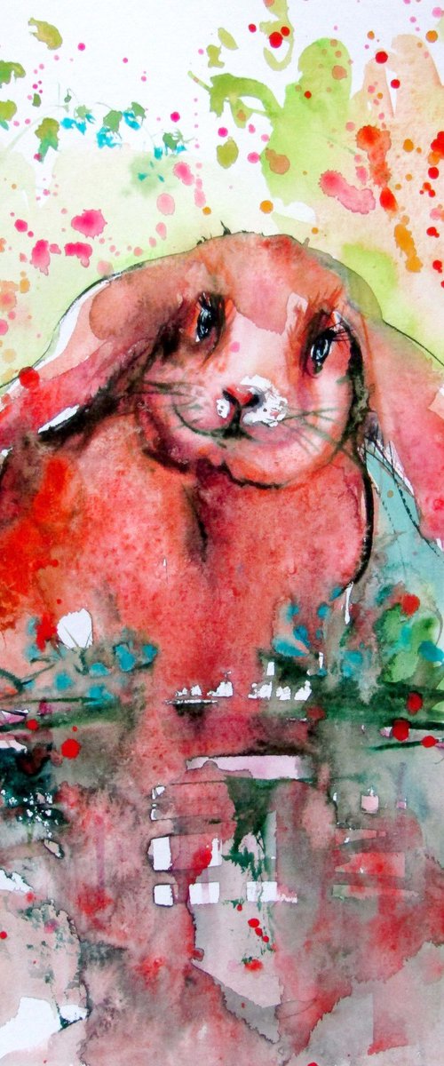 Cute rabbit by Kovács Anna Brigitta