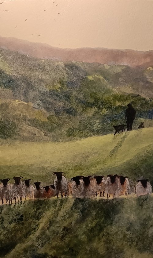 Bringing in the Flock by Graham Colthorpe