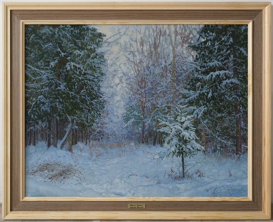 Winter forest